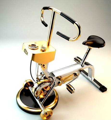 Seltenes bodyguard ergometer - seltenes,